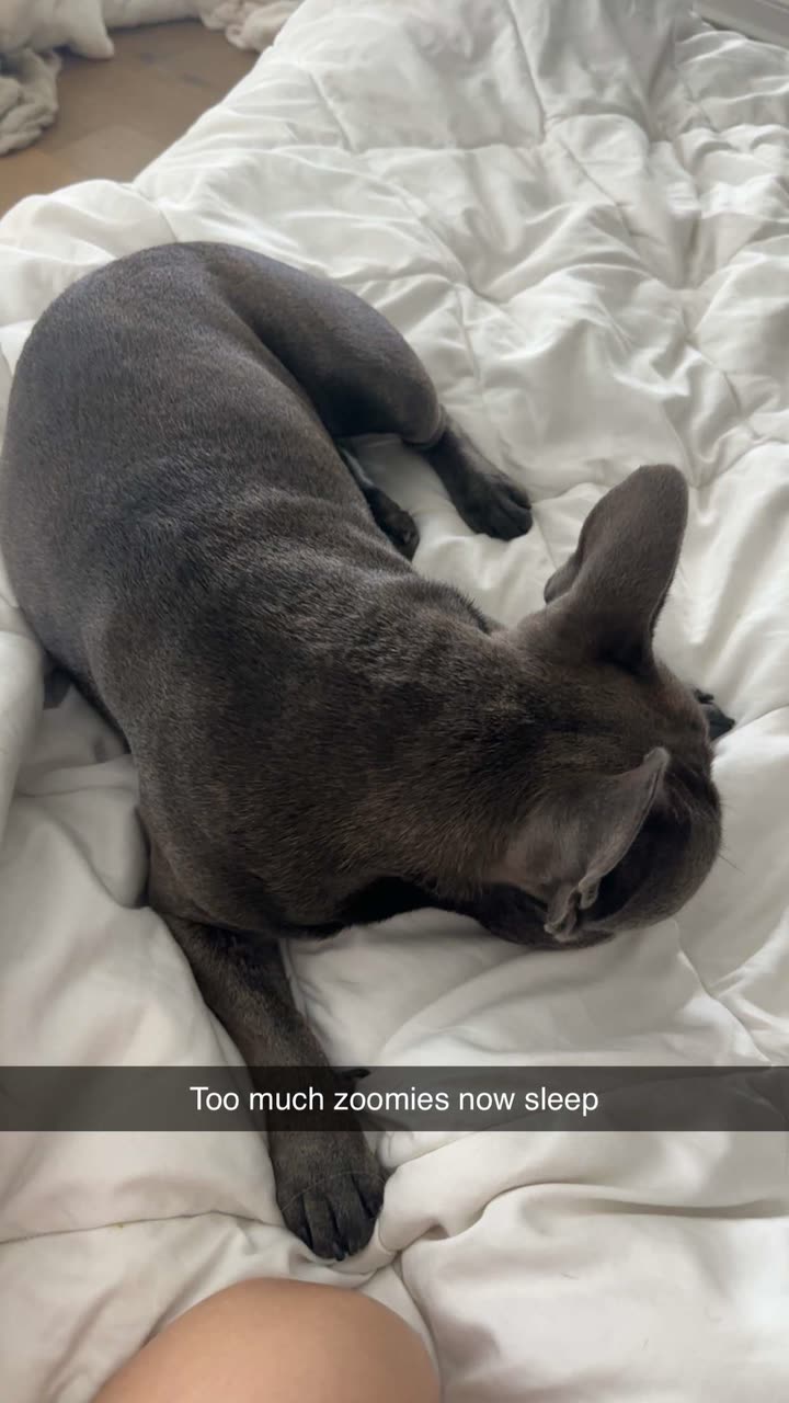 kylaayese snapchat image archive image