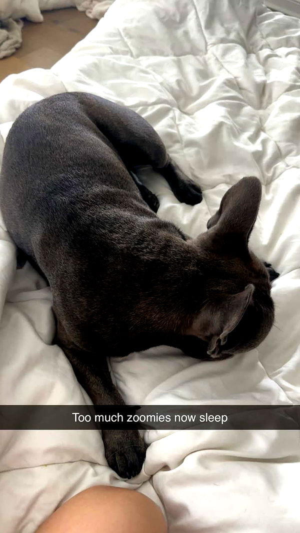 kylaayese image ~ Altpins