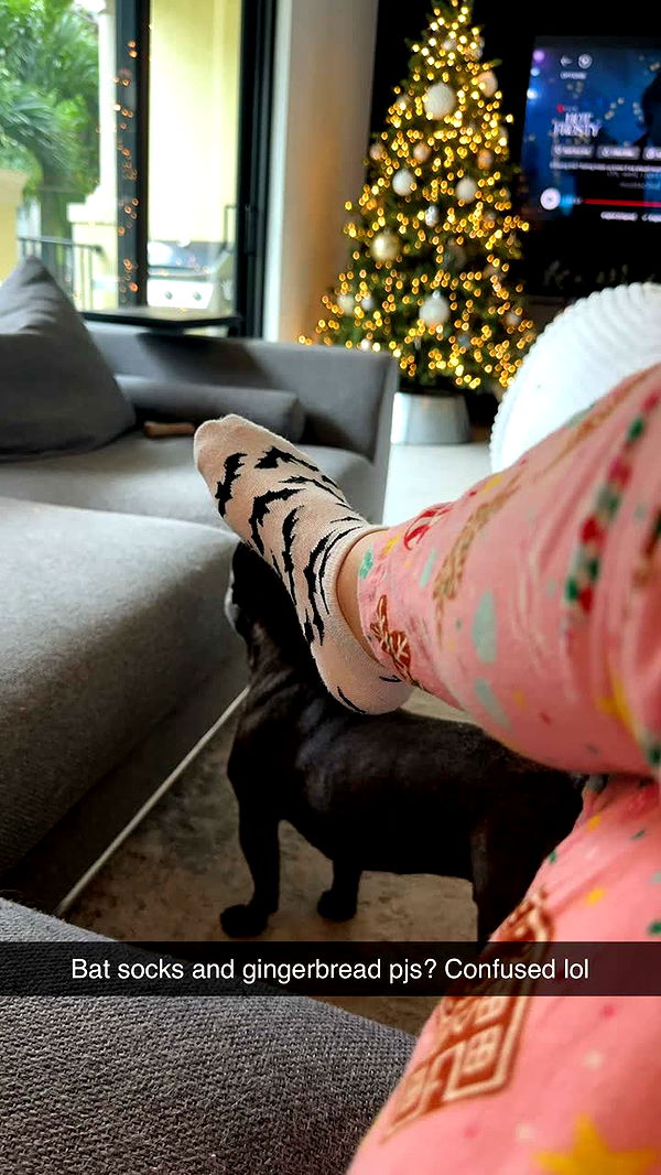 kylaayese image ~ Altpins