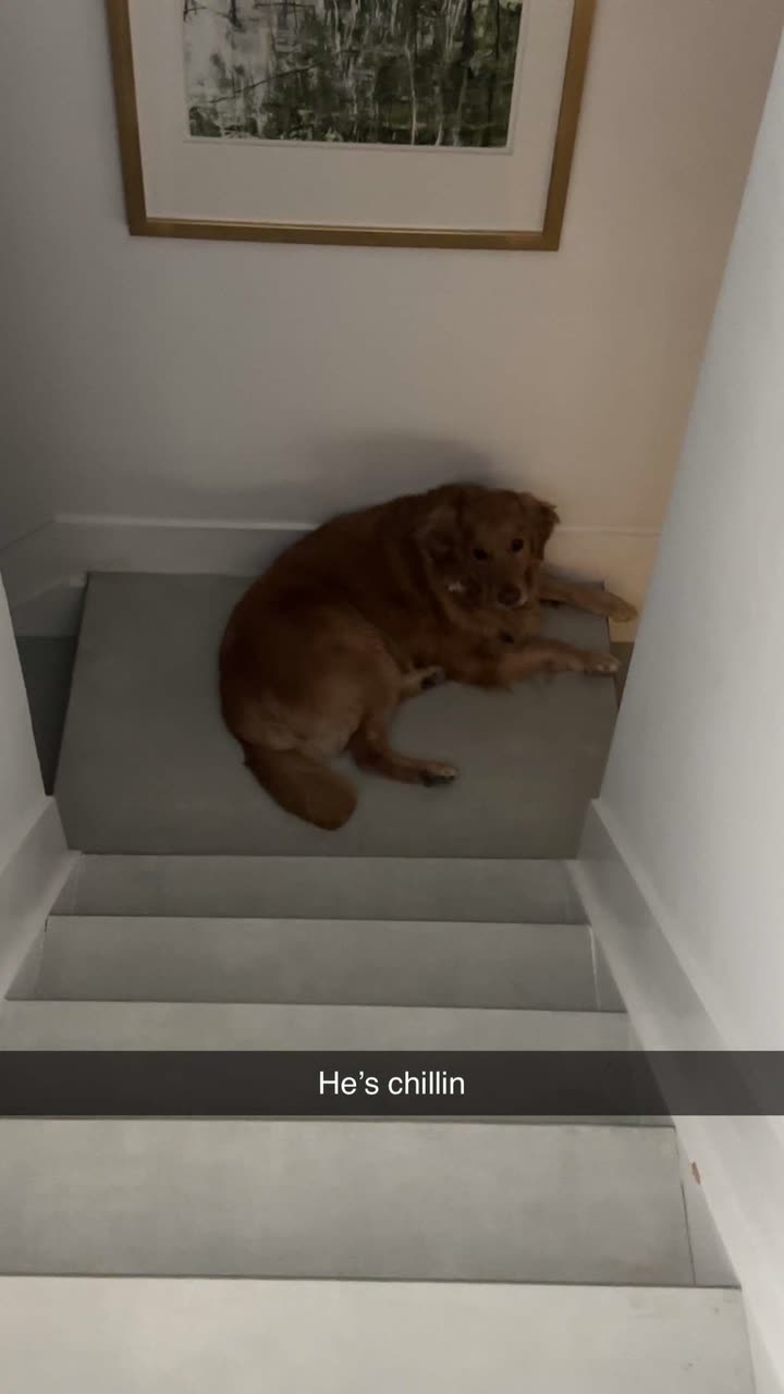 kylaayese snapchat image archive image