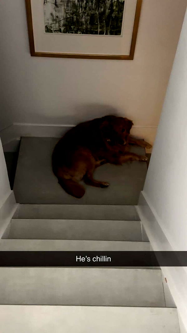 kylaayese image ~ Altpins