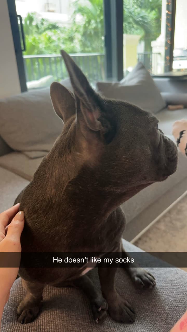 kylaayese snapchat image archive image