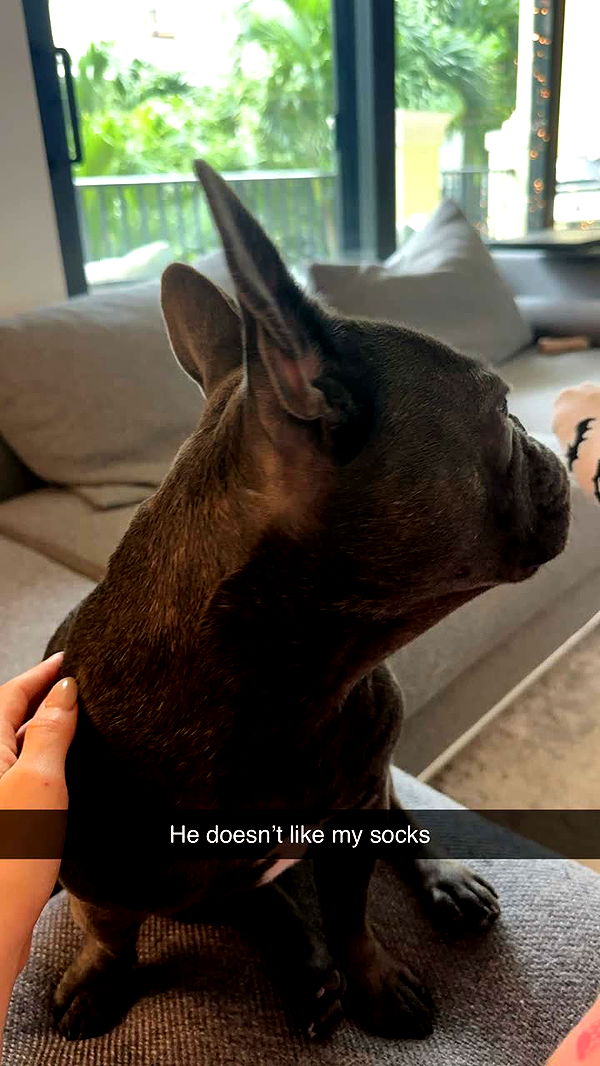 kylaayese image ~ Altpins