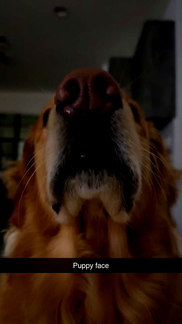 kylaayese image ~ Altpins