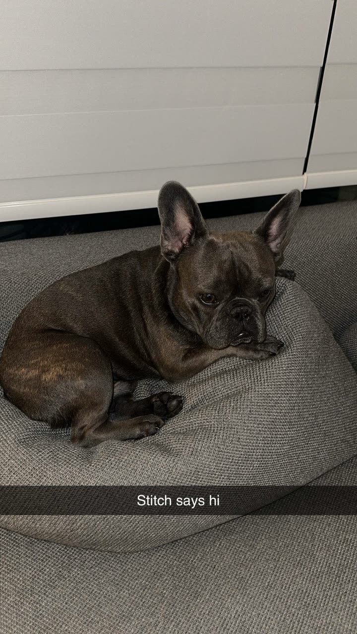 kylaayese snapchat image archive image