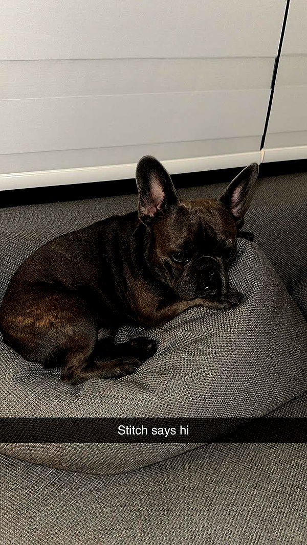 kylaayese image ~ Altpins