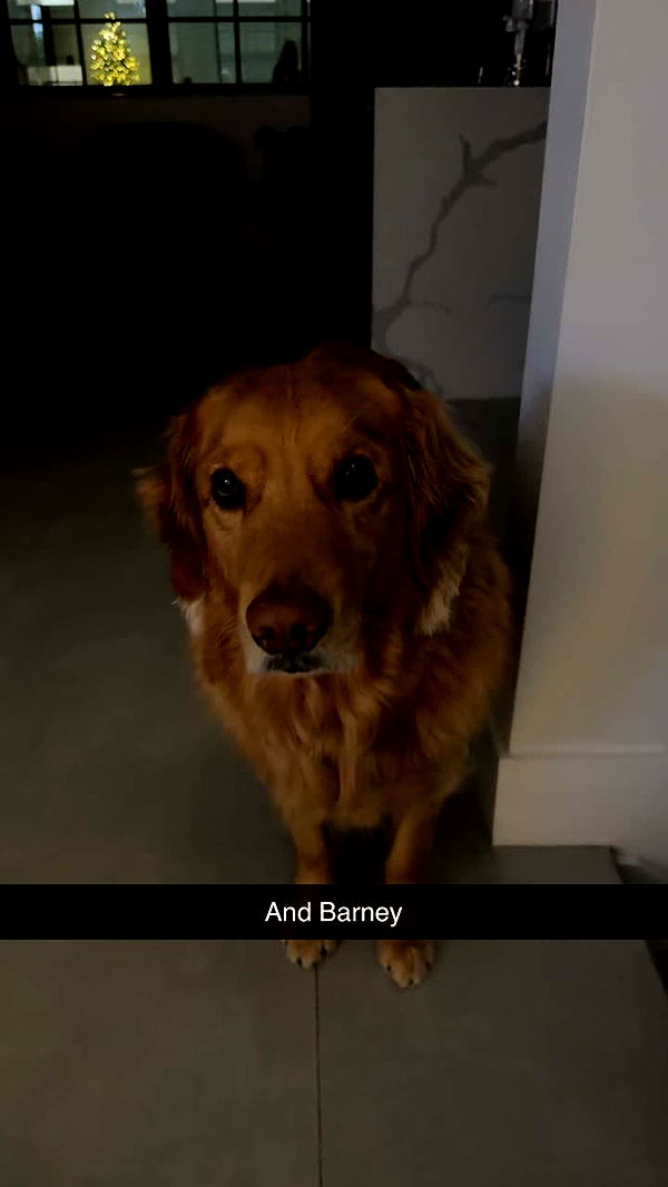 kylaayese image ~ Altpins