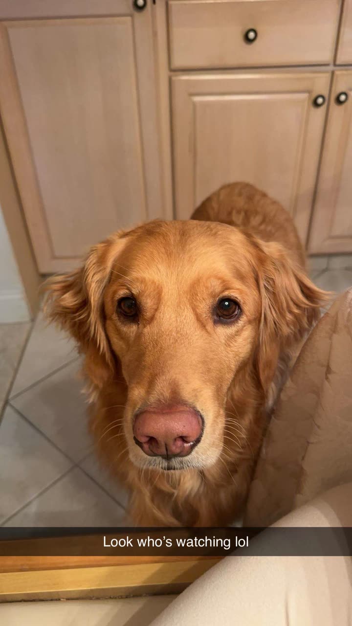 kylaayese snapchat image archive image