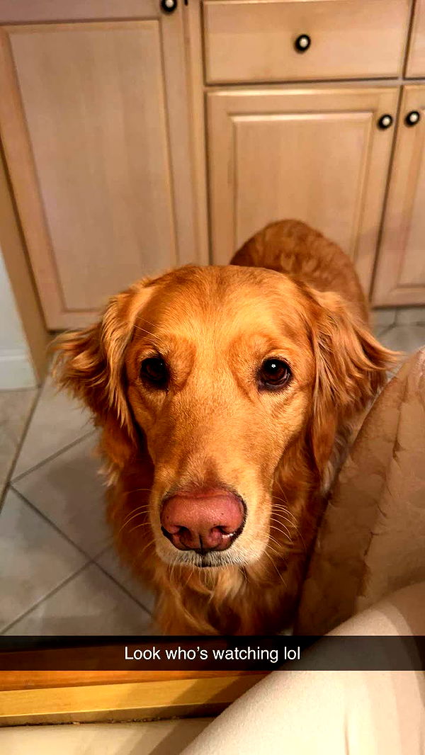 kylaayese image ~ Altpins