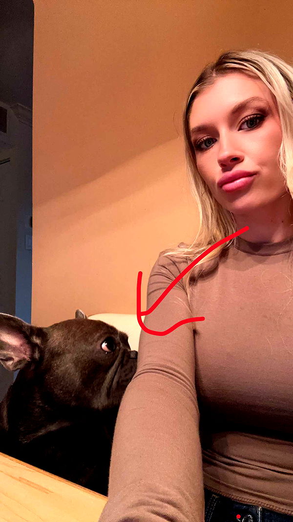 kylaayese image ~ Altpins