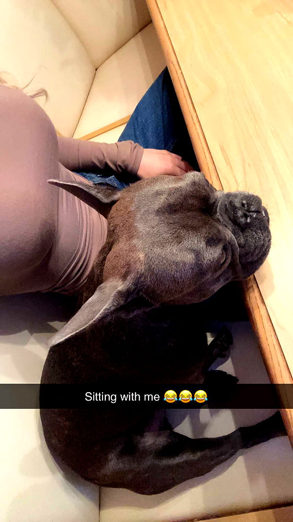 kylaayese image ~ Altpins