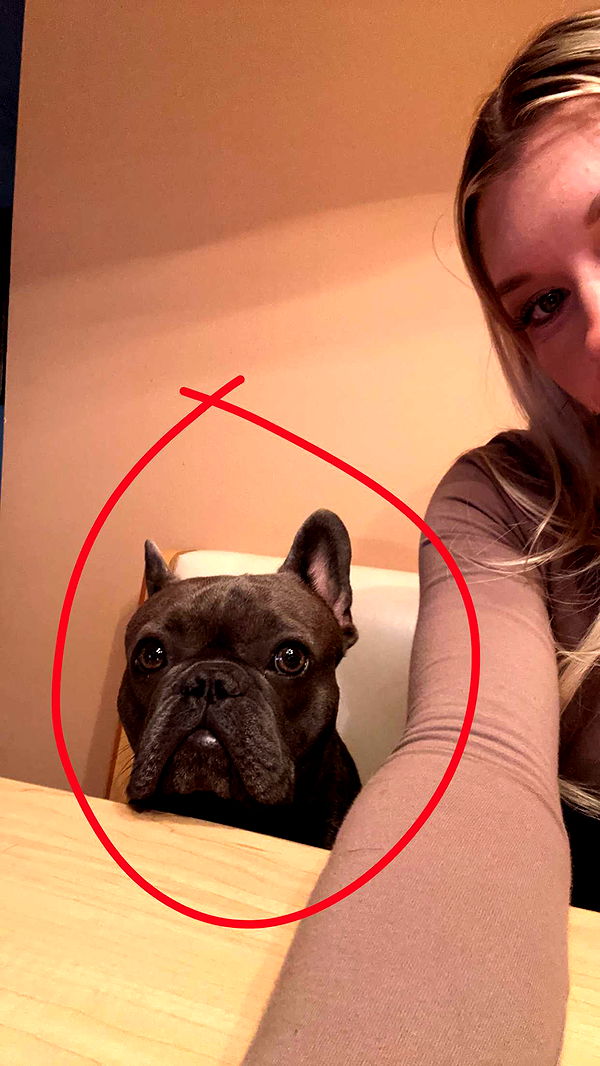 kylaayese image ~ Altpins