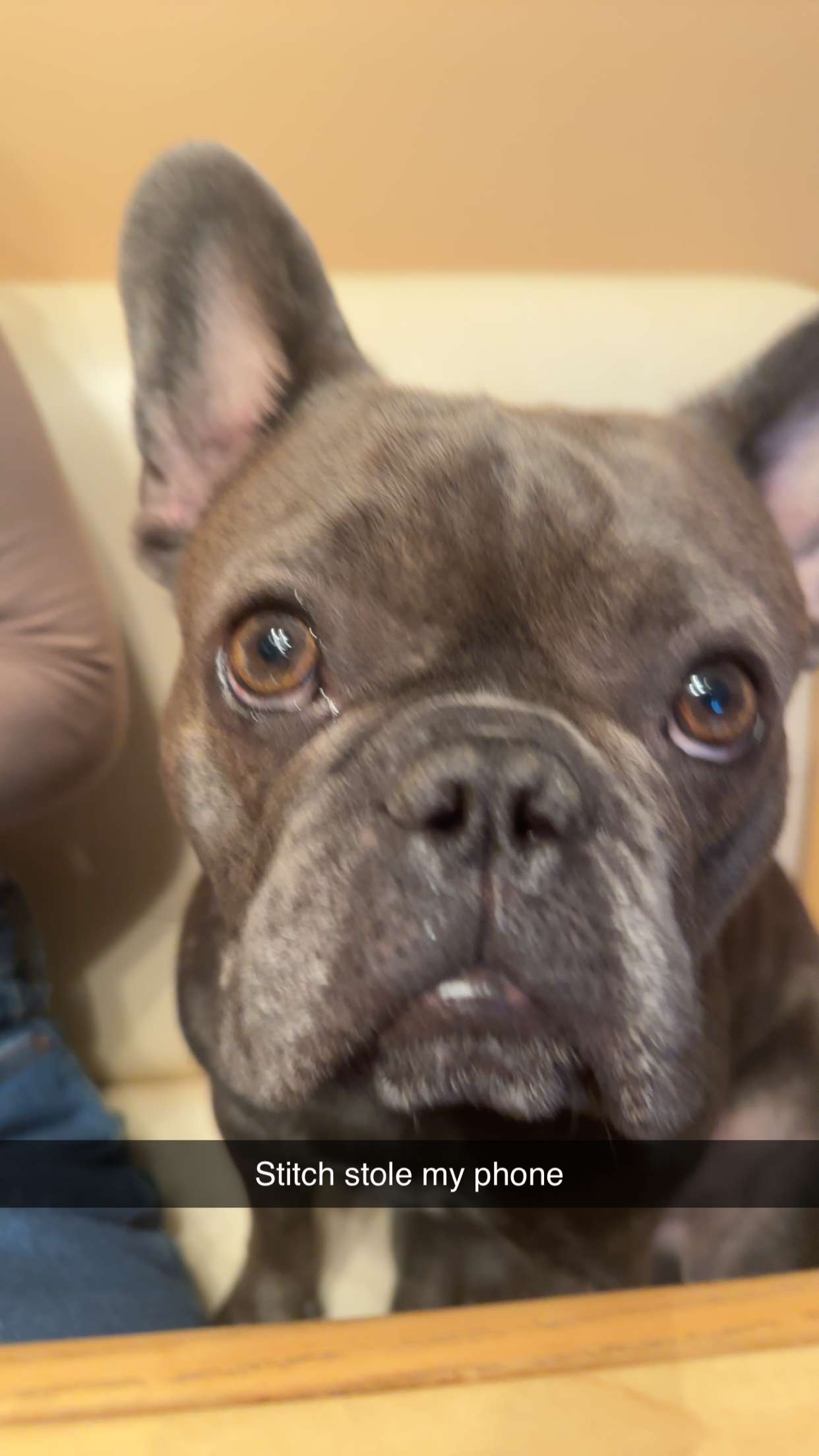 kylaayese snapchat image archive image