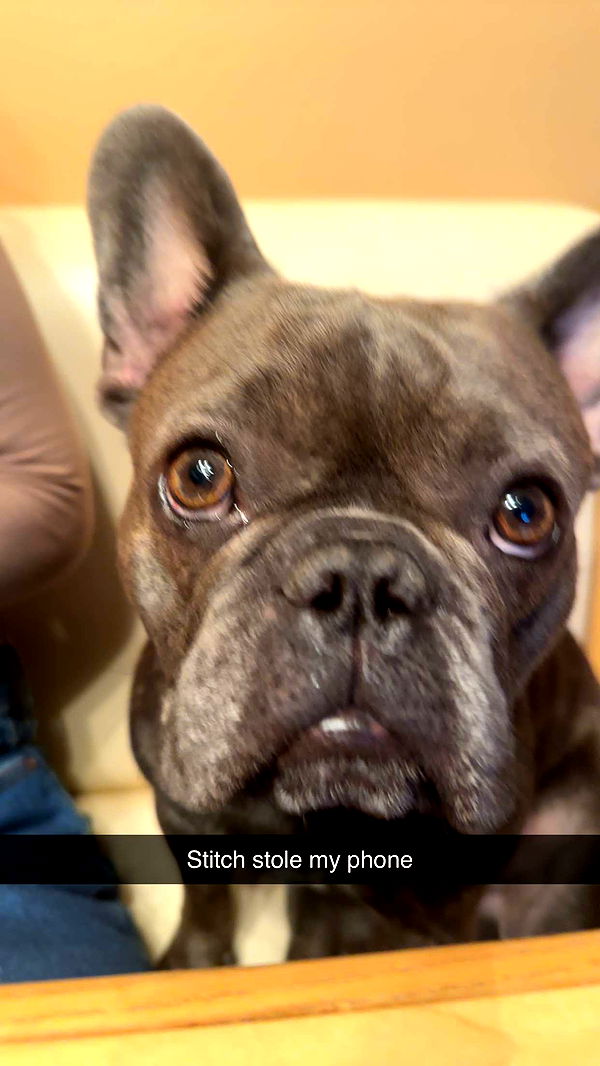 kylaayese image ~ Altpins