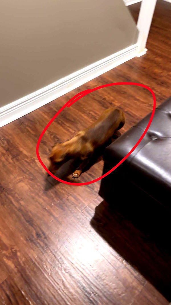 kylaayese image ~ Altpins