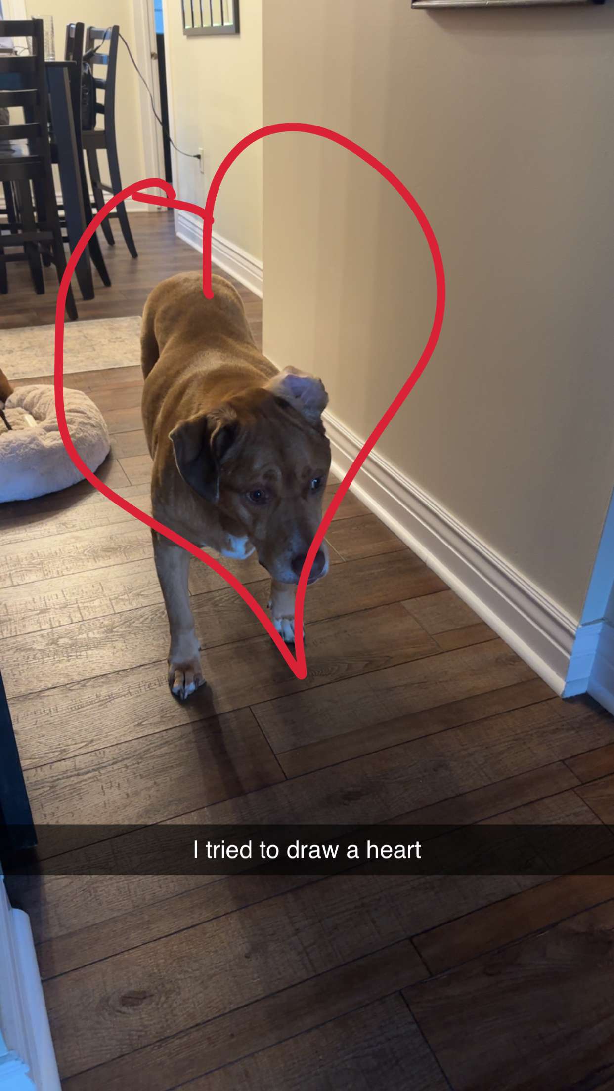 kylaayese snapchat image archive image