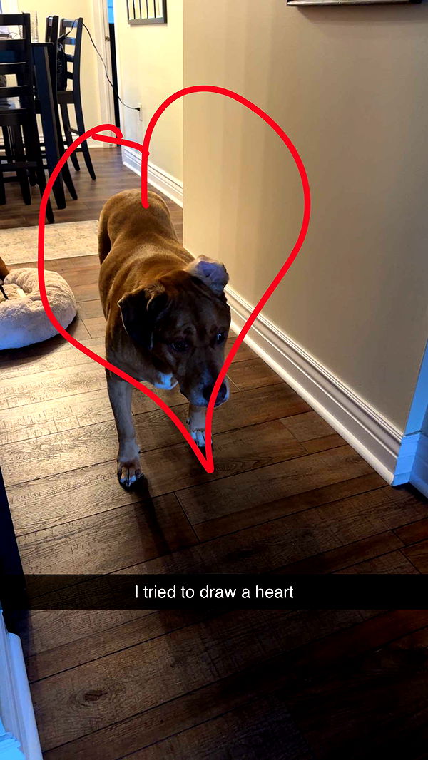 kylaayese image ~ Altpins