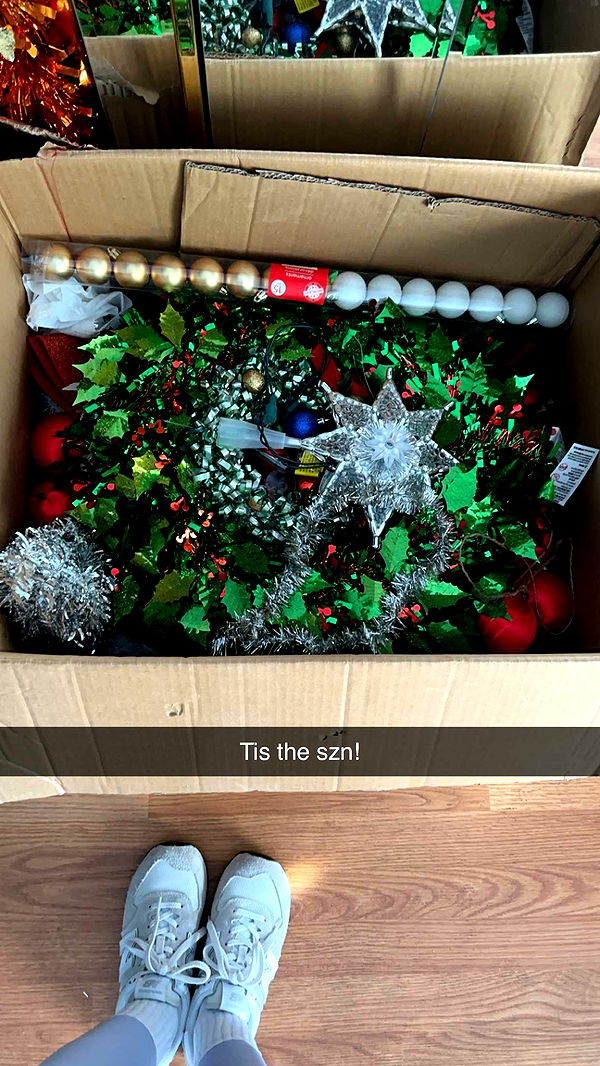 kylaayese image ~ Altpins