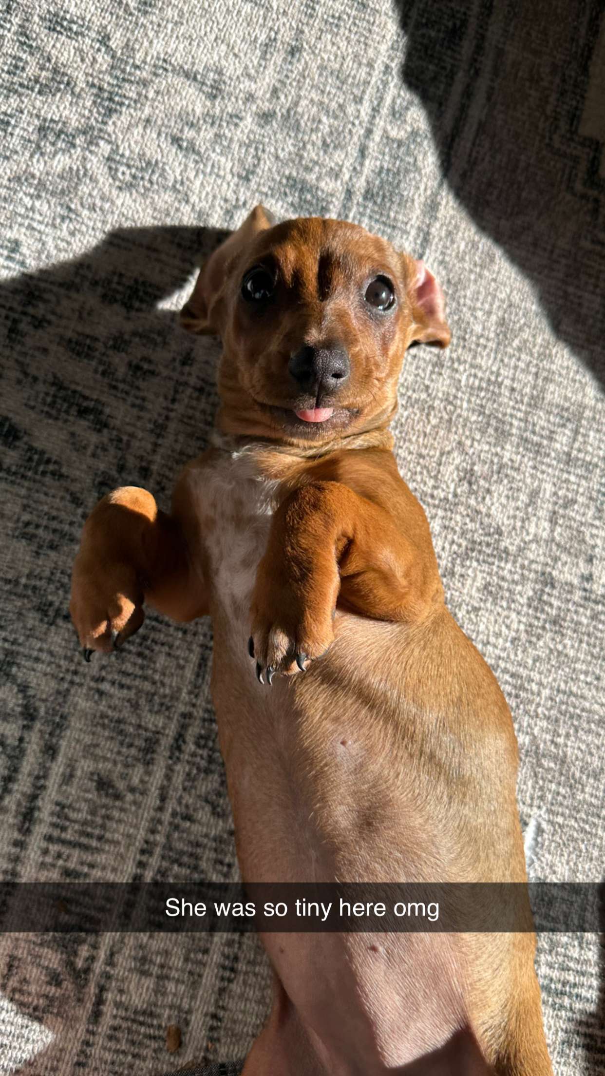 kylaayese snapchat image archive image