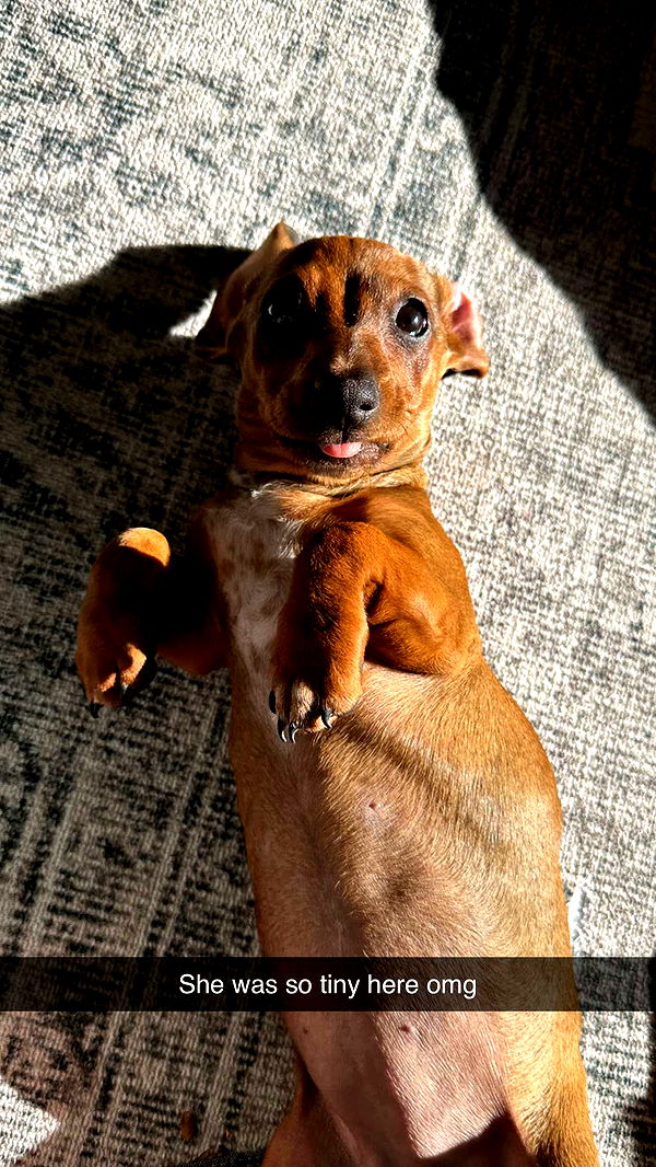 kylaayese image ~ Altpins