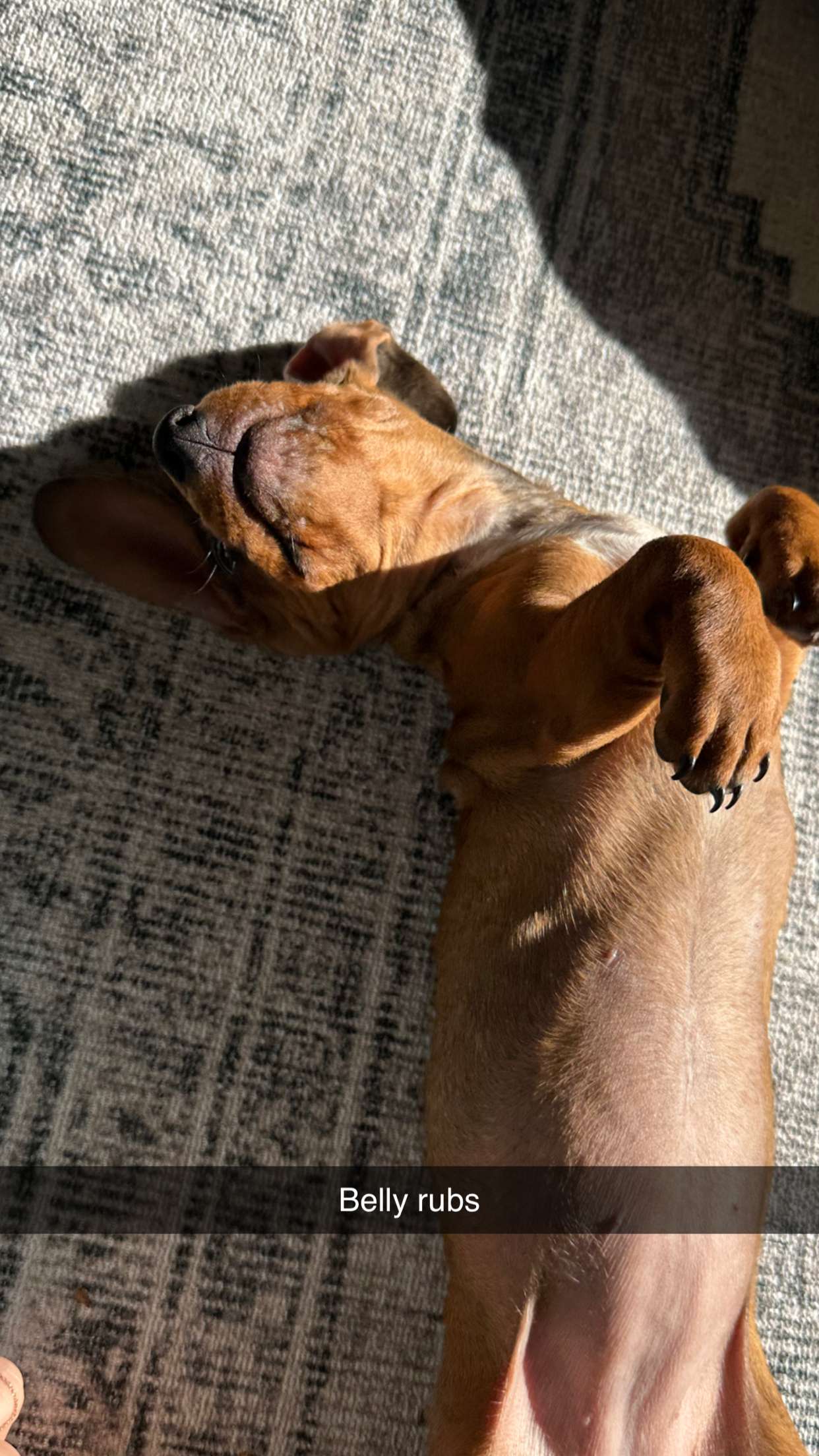 kylaayese snapchat image archive image