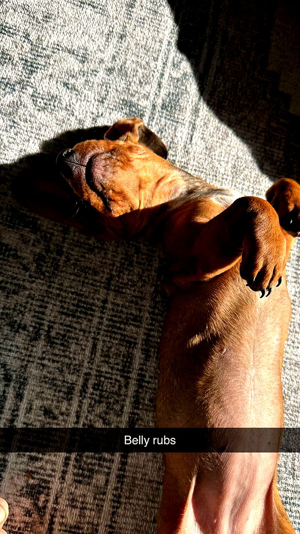 kylaayese image ~ Altpins