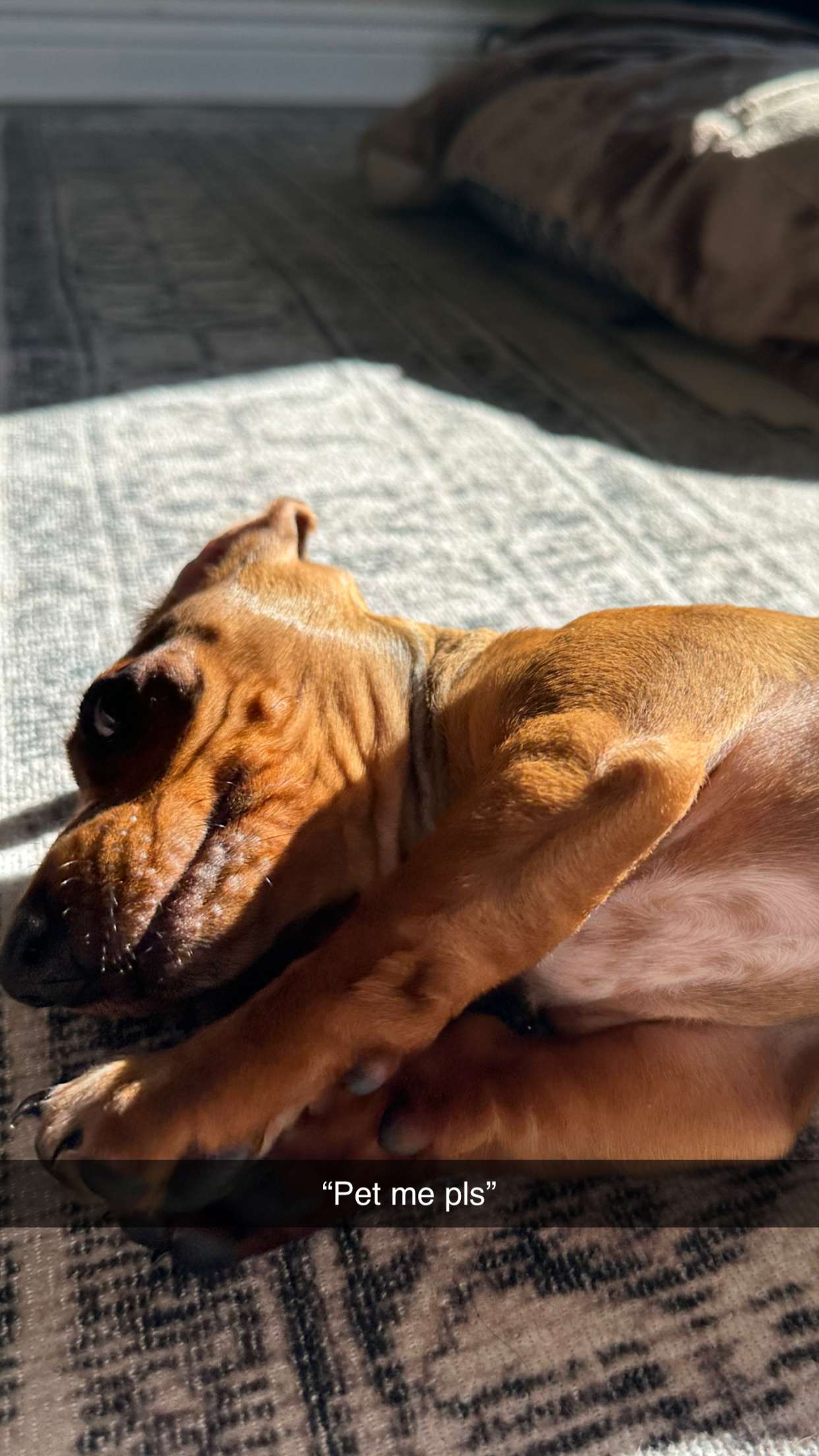 kylaayese snapchat image archive image