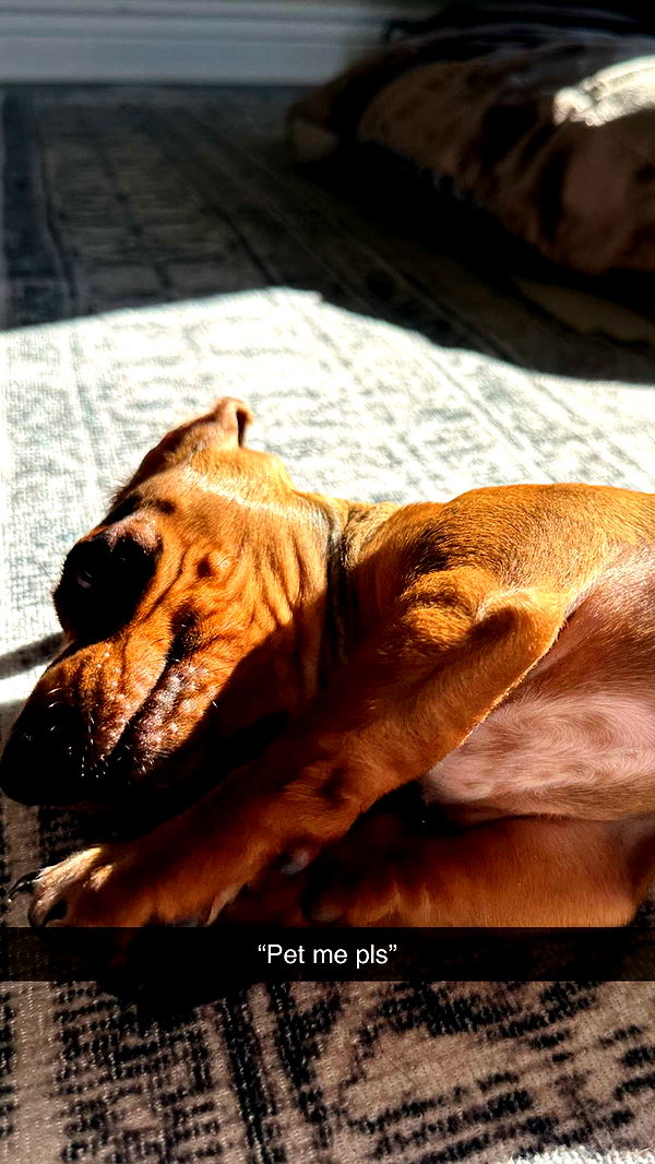 kylaayese image ~ Altpins