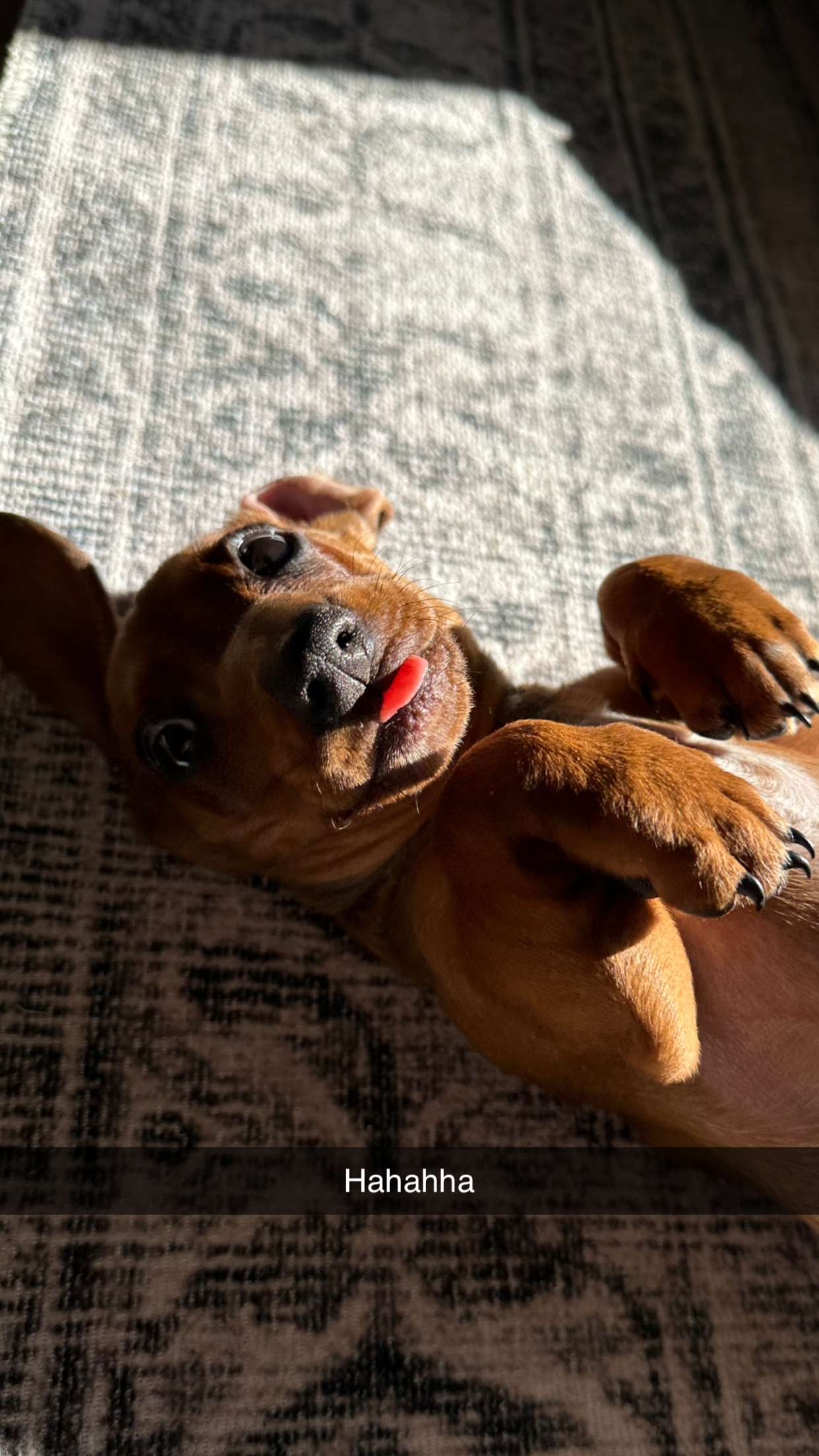 kylaayese snapchat image archive image