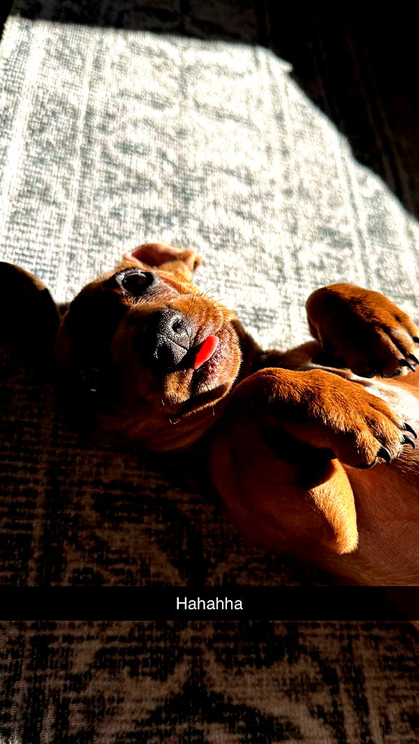 kylaayese image ~ Altpins