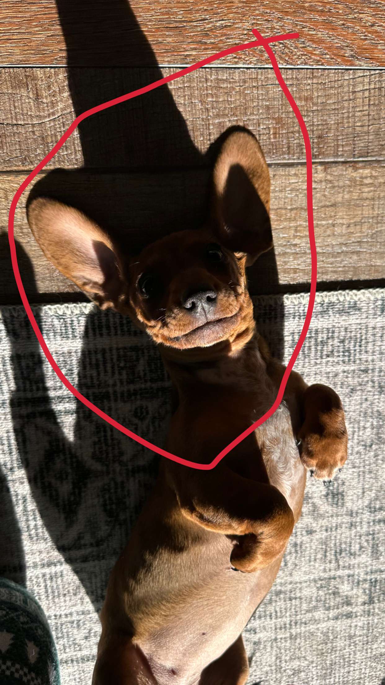 kylaayese snapchat image archive image