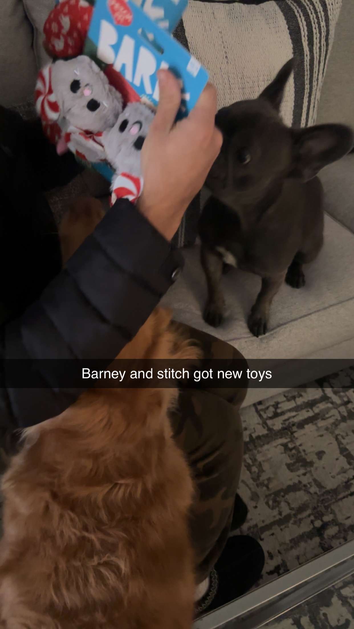 kylaayese snapchat image archive image