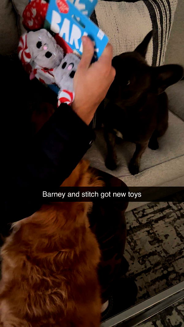 kylaayese image ~ Altpins