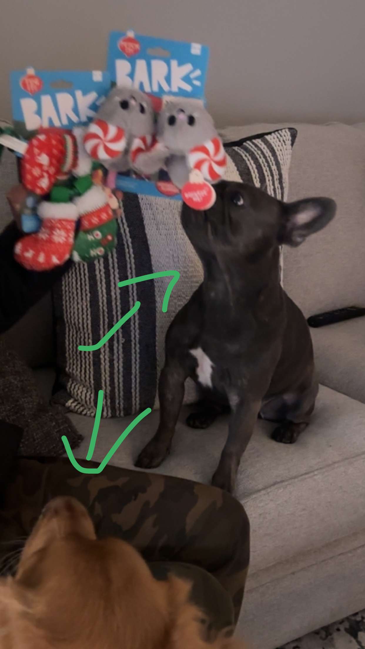 kylaayese snapchat image archive image