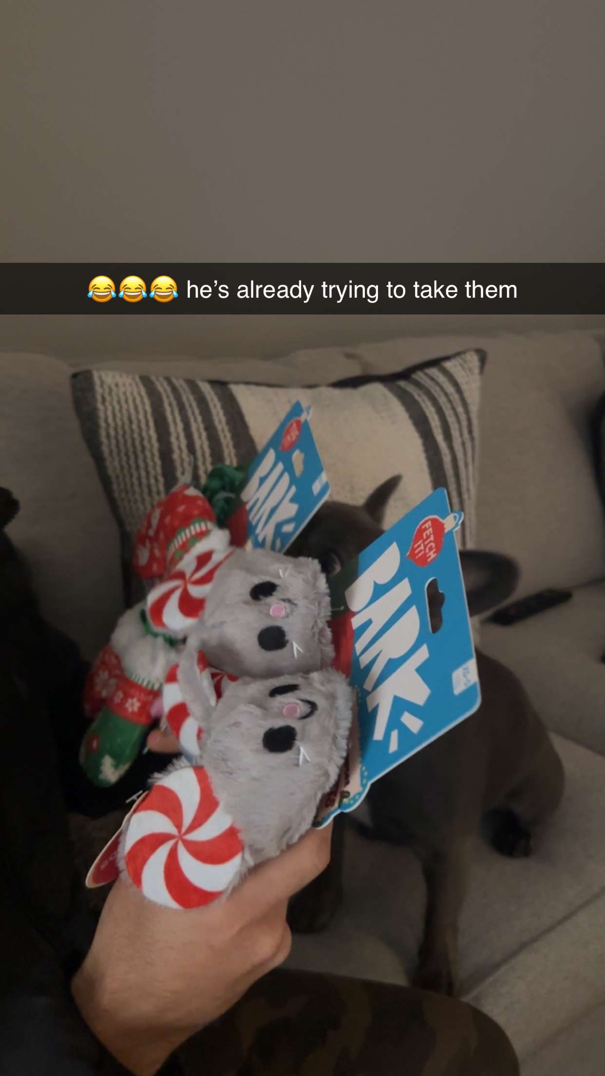 kylaayese snapchat image archive image