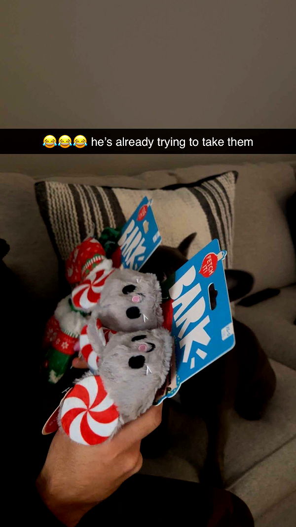 kylaayese image ~ Altpins