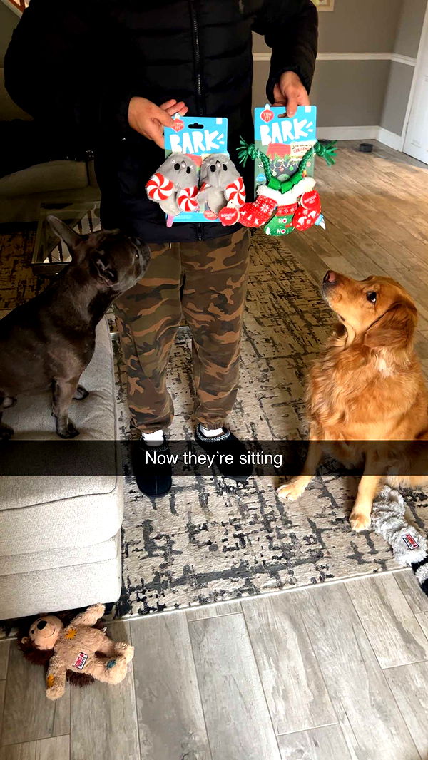 kylaayese image ~ Altpins