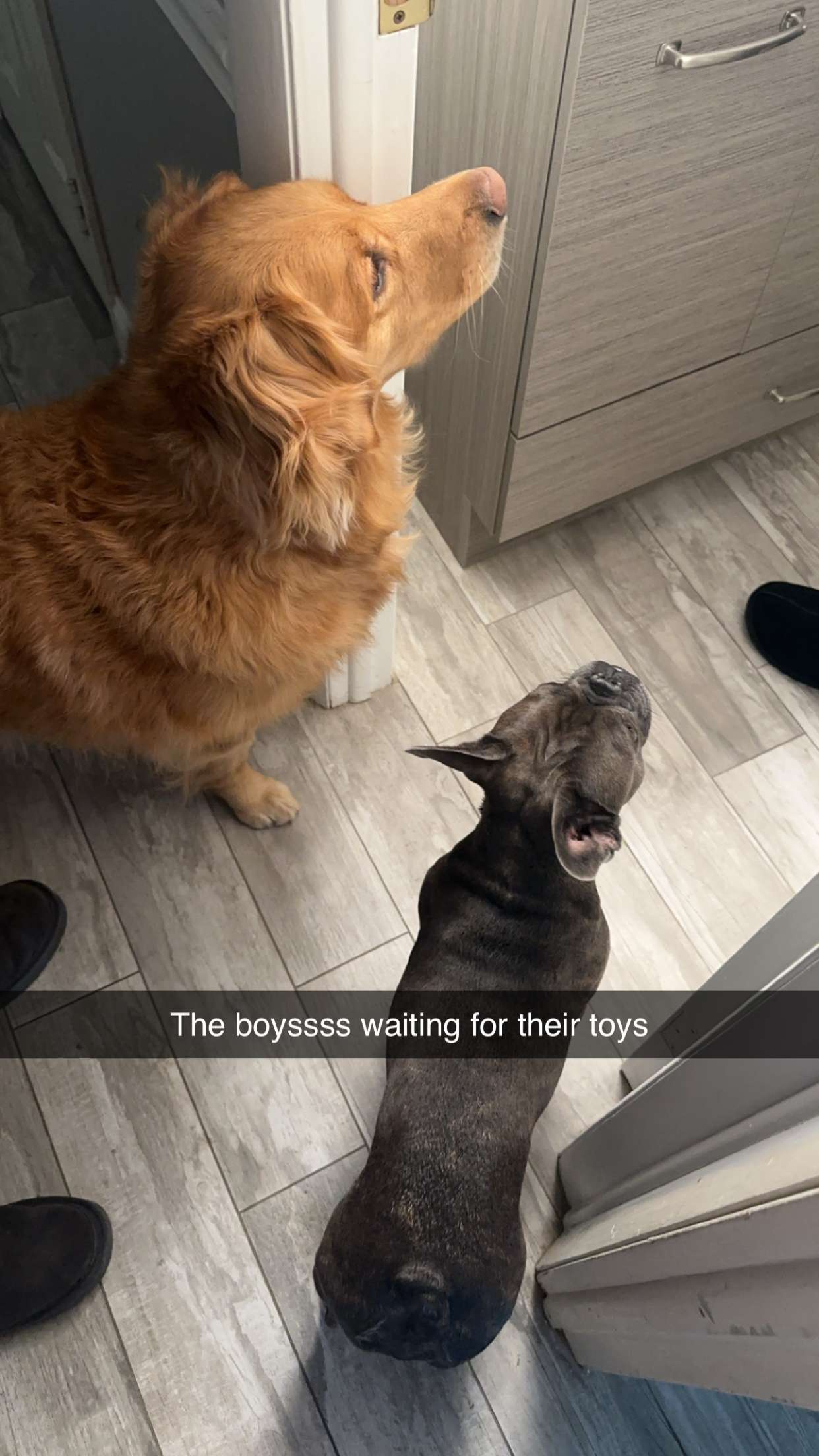 kylaayese snapchat image archive image