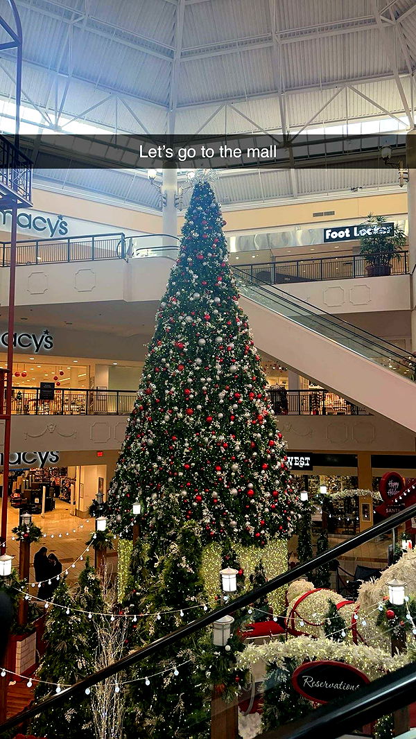 kylaayese image ~ Altpins