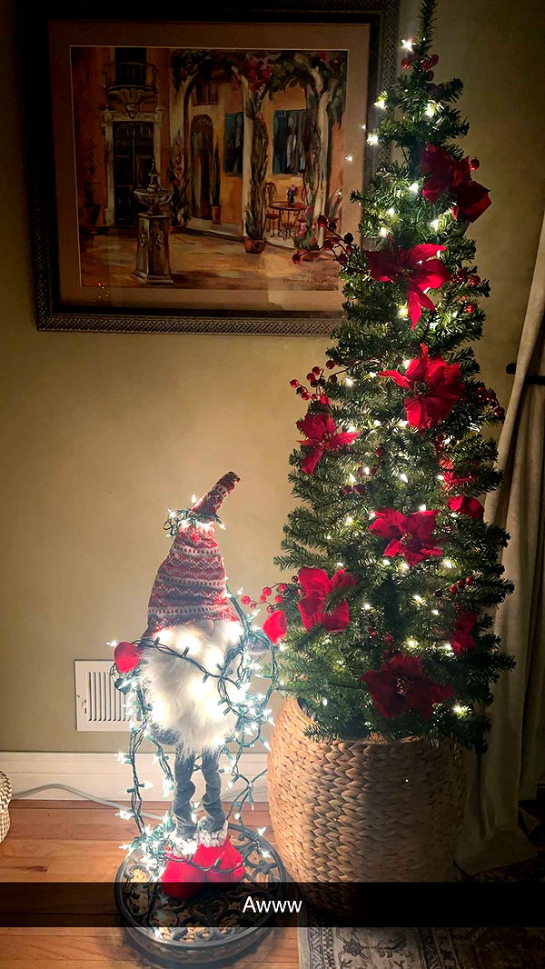 kylaayese image ~ Altpins