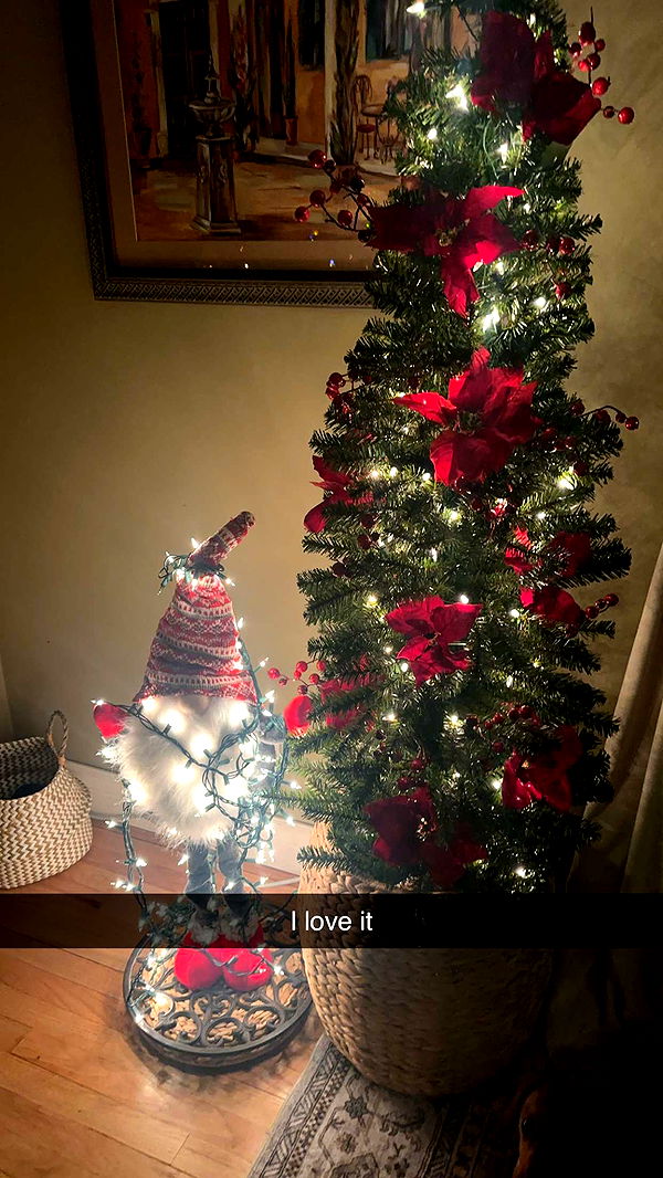 kylaayese image ~ Altpins