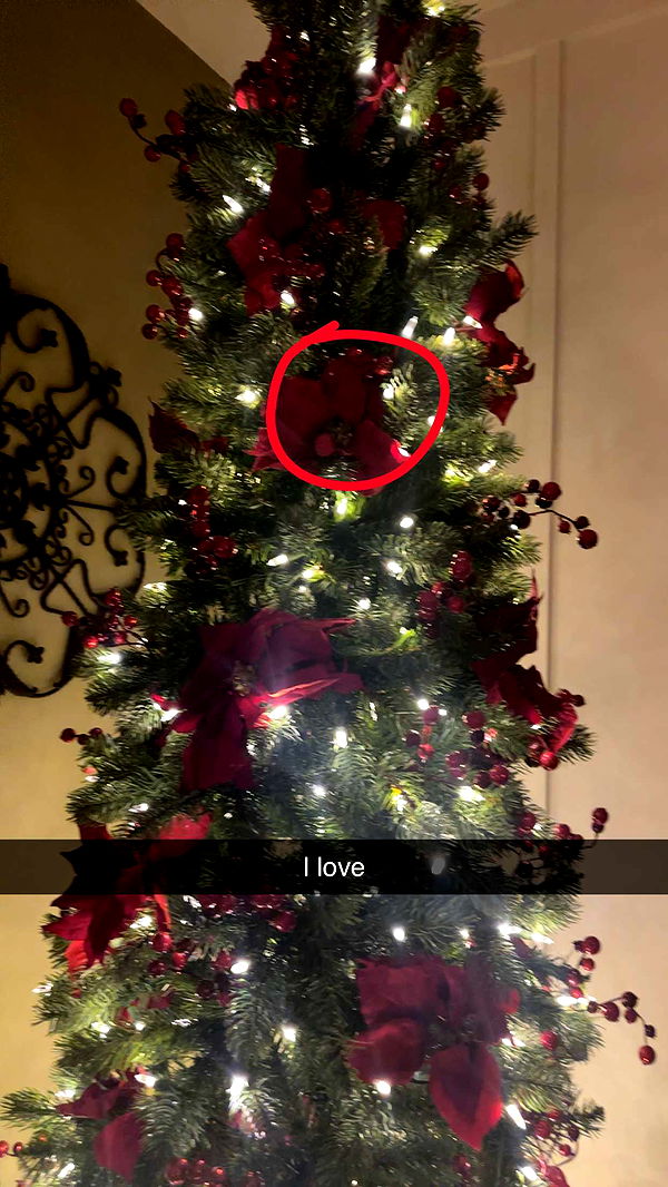 kylaayese image ~ Altpins