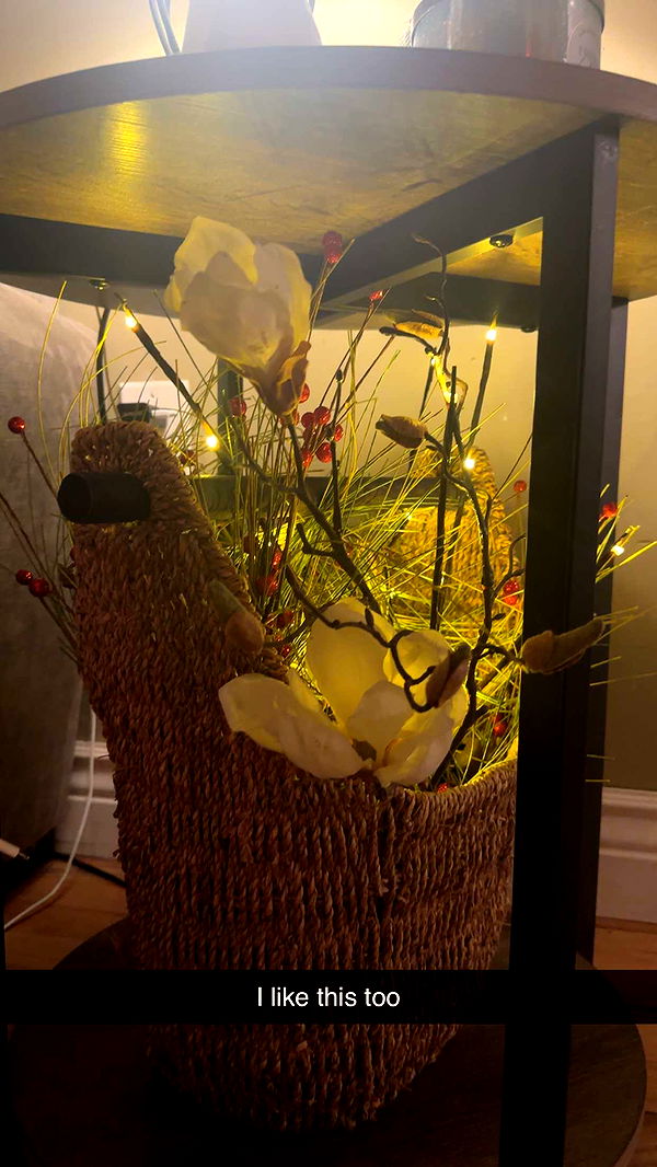 kylaayese image ~ Altpins