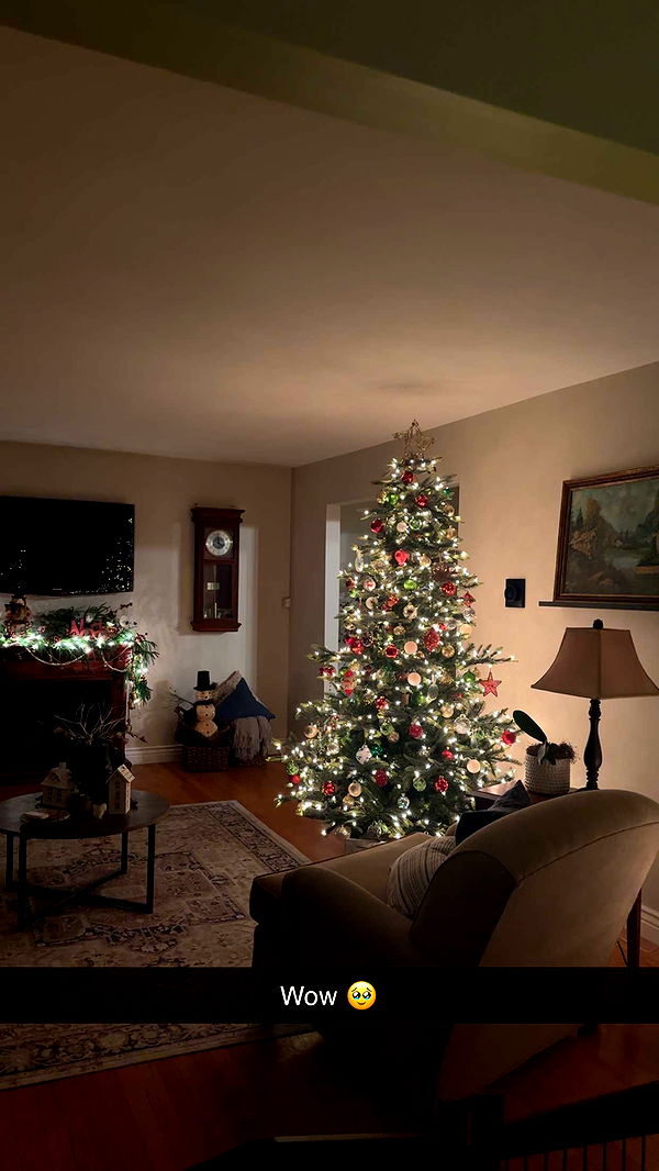 kylaayese image ~ Altpins