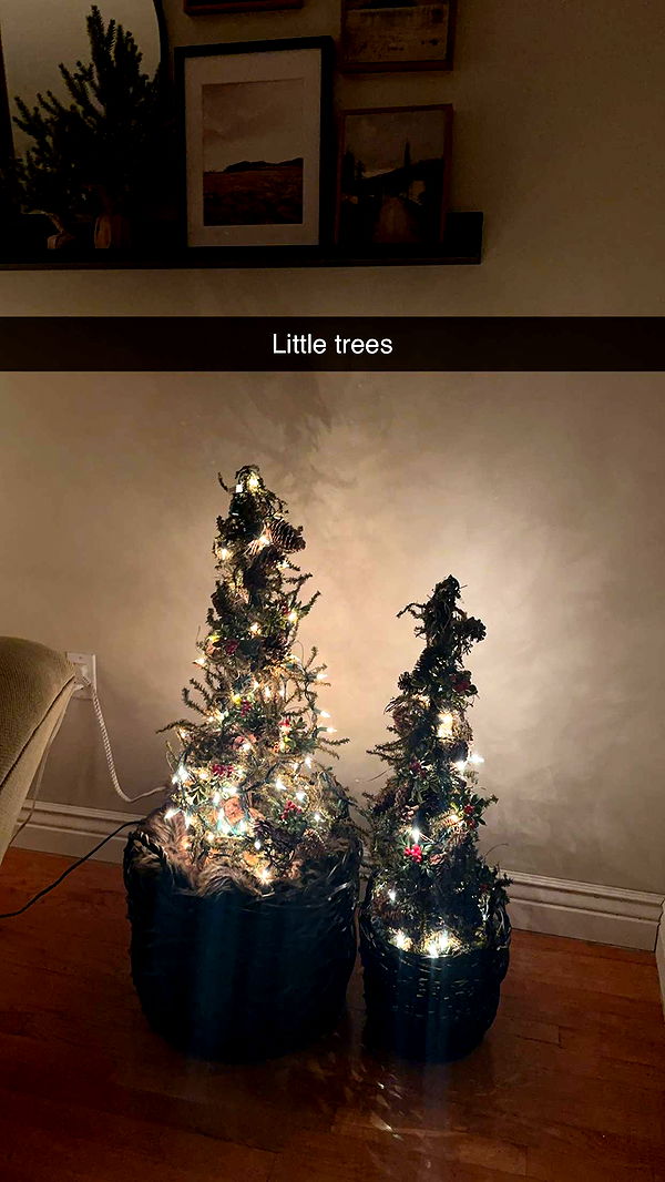 kylaayese image ~ Altpins