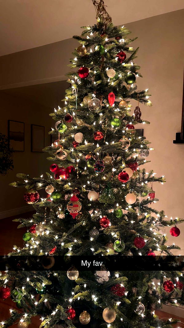 kylaayese image ~ Altpins