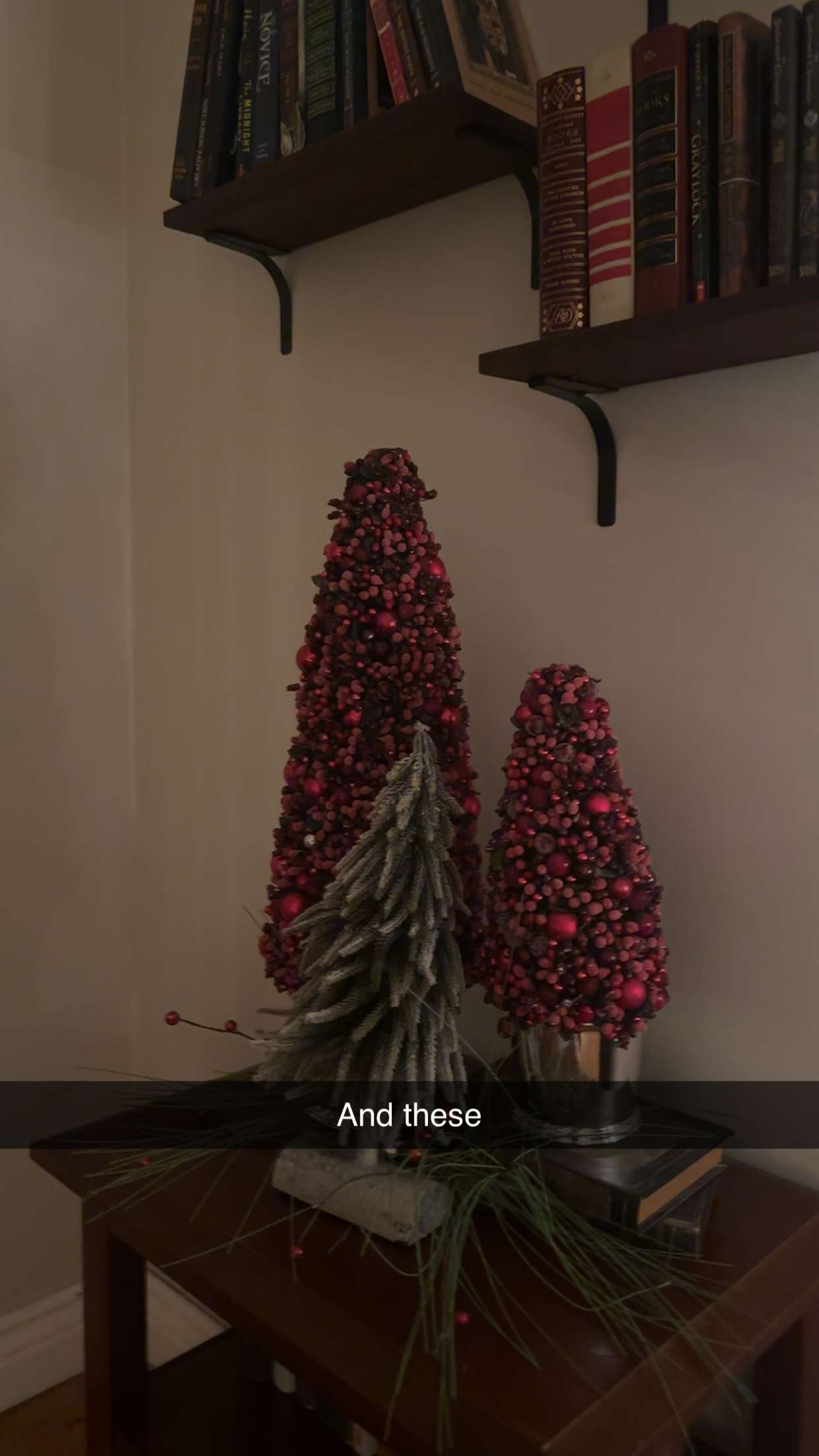 kylaayese snapchat image archive image