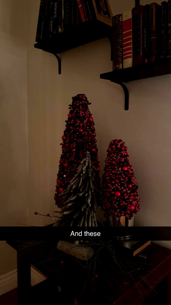 kylaayese image ~ Altpins