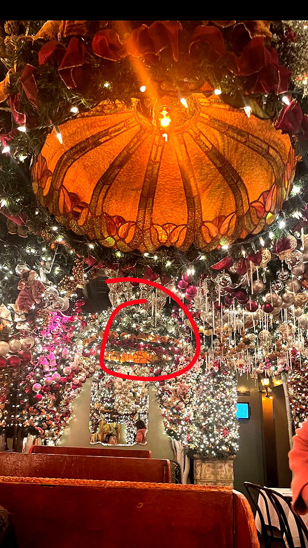 kylaayese image ~ Altpins