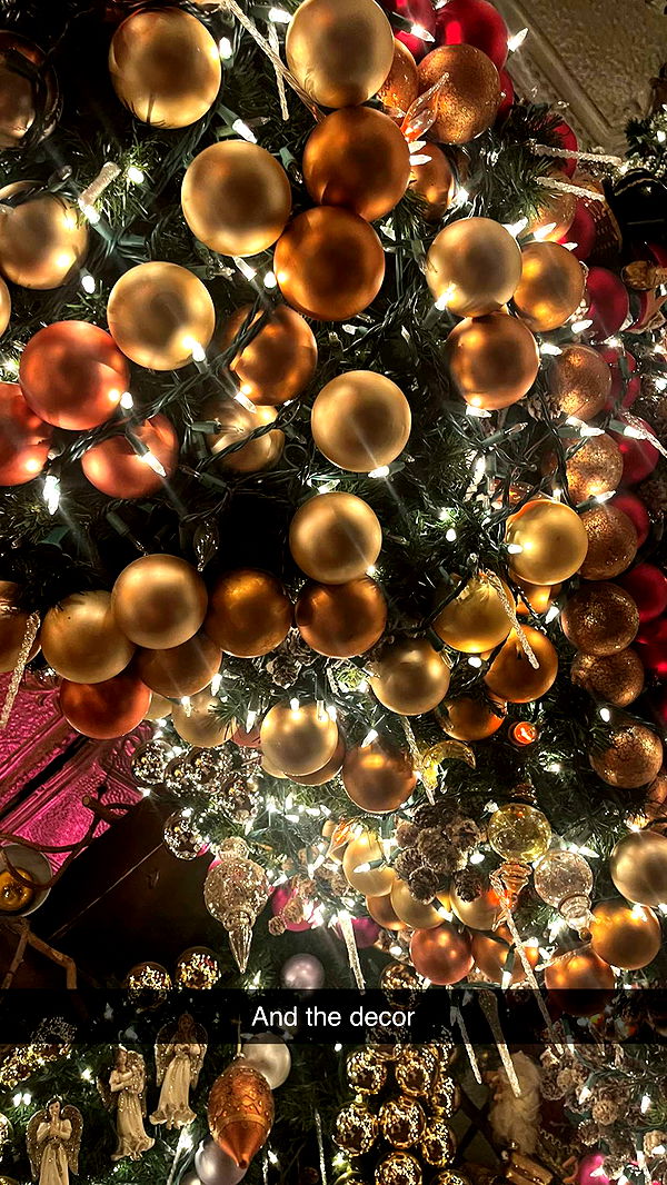 kylaayese image ~ Altpins